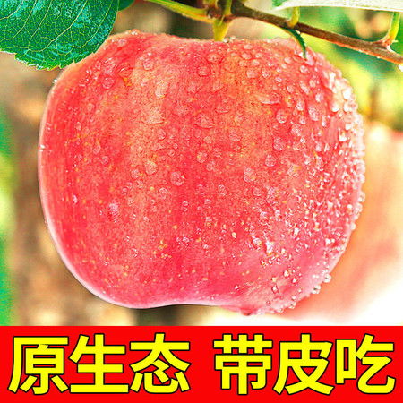 新鲜水果精品红富士苹果5斤脆苹果丑苹果脆甜孕妇水果非冰糖心