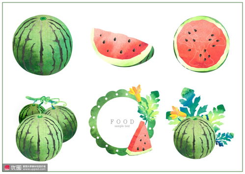 西瓜切片果肉果仁藤蔓鲜花水果插画 食品插画 美味水果 食品插画 美味水果