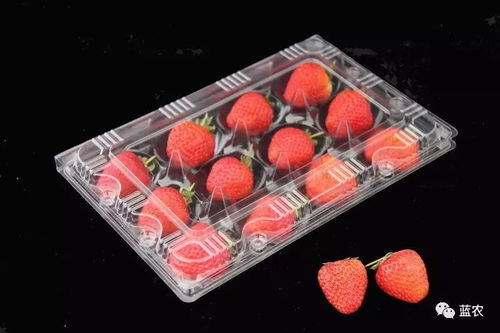 这才是真正的草莓包装大合集